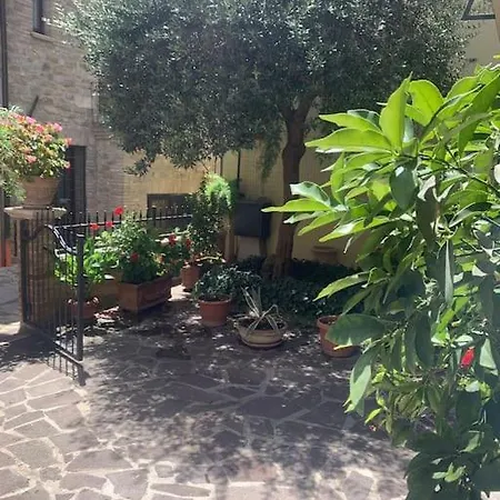 Appartamento L'olivo
