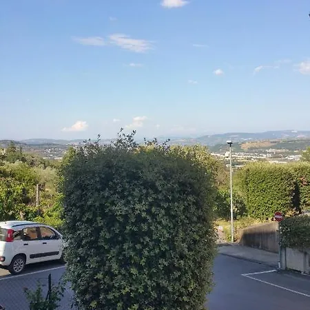 L'olivo * Perugia